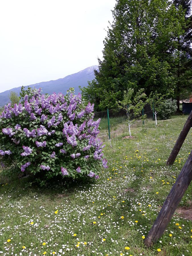 Apartment Gradina Korenica Luaran gambar